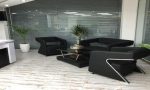 مبل اداری تیکاند H-800 دو نفره - تصویر 2