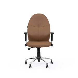 صندلی کارشناسی انرژی SN816