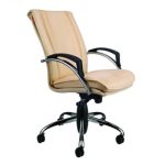 صندلی مدیریتی نیلپر OCM809E
